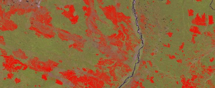 Deforestazione, ecco le foto dallo spazio: <br />persi 2,3 milioni di chilometri, in Ue migliora