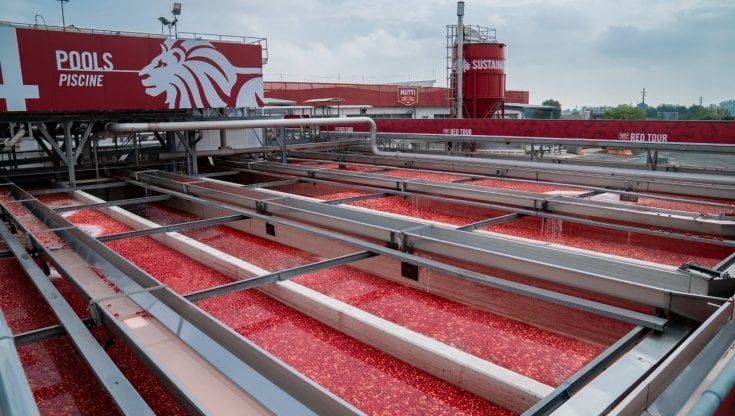 Mutti cerca 1.200 lavoratori stagionali. Richiesti anche collaboratori tecnici 