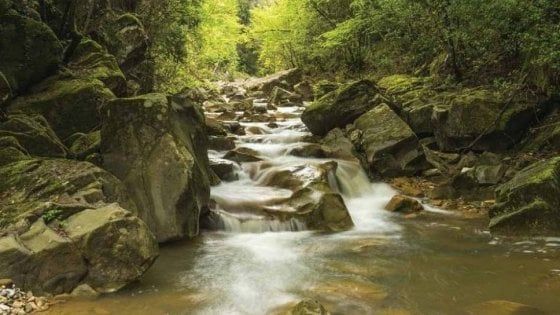 L'Unesco riconosce nuove riserve biosfera in Italia