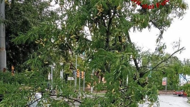Protezione civile, quelle chiamate sull’allerta meteo scambiate per truffe