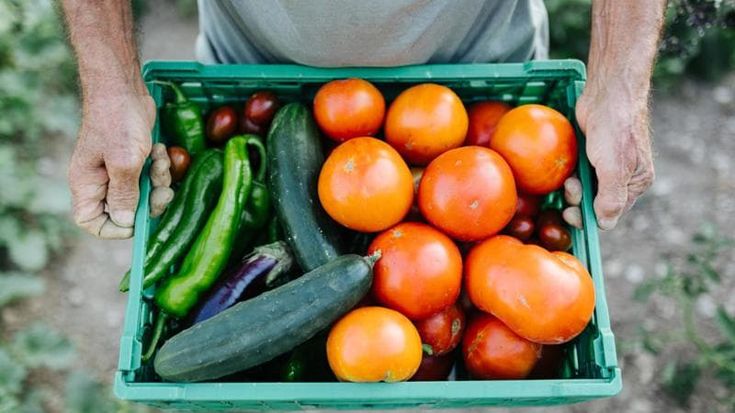 I mercati contadini tra i banchi di scuola per un’alimentazione più sana