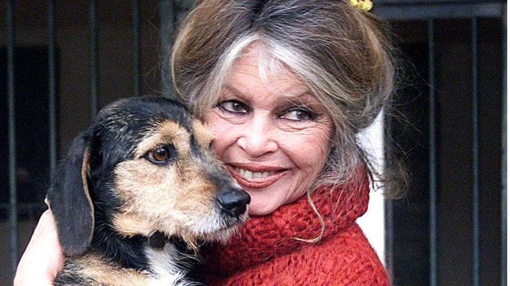Brigitte Bardot riposerà lontano dai suoi animali. No alla tomba a La Madrague, le esequie il 7