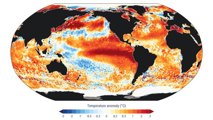 Copernicus: la temperatura media giornaliera della superficie del mare batte il record 2024