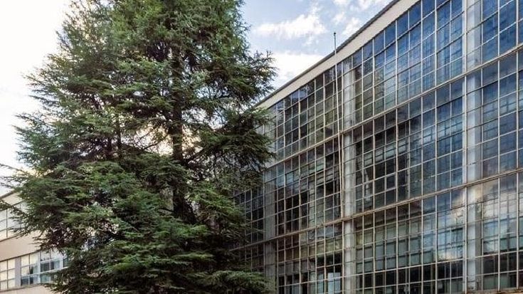 Polo culturale nell’ex Olivetti, pressing da Ivrea sul ministero
