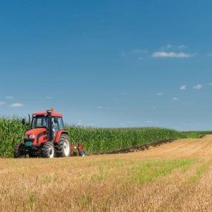Filiera Italia diventa fondazione: cresce l’agroalimentare di qualità