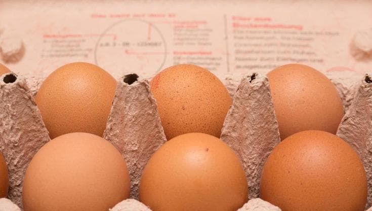 L’uovo, eccellenza italiana. Tutta la filiera si ritrova a Bologna