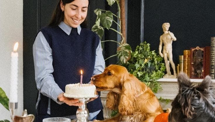 Altro che crocchette: a Lione apre la gastronomia per cani