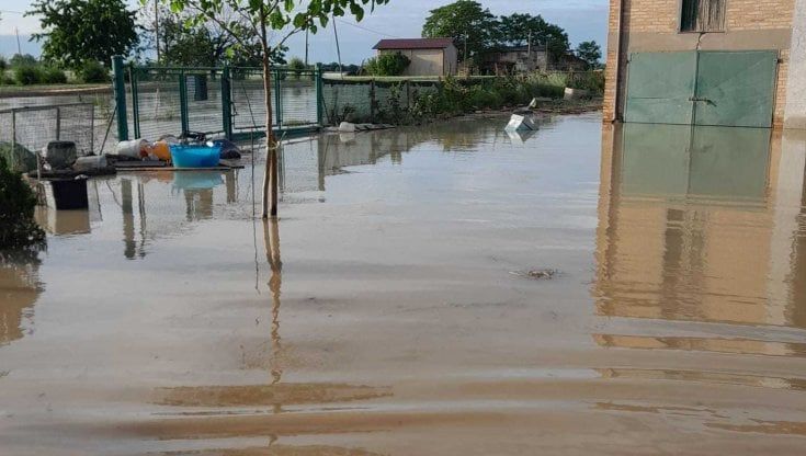 Alluvione, l'appello delle fattorie per i prodotti locali: "Ora fate la spesa a chilometro zero"
