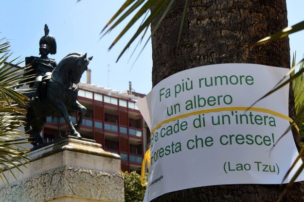 Bari, gli alberi parlano: frasi d'autore sulle piante di piazza Umberto 