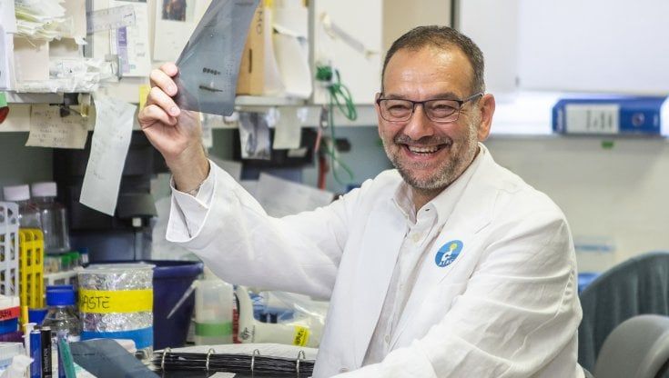 Tumori delle donne, Salvatore Pece (Ieo): "Grazie ai fondi Airc studiamo l'interruttore che può spegnere il cancro"