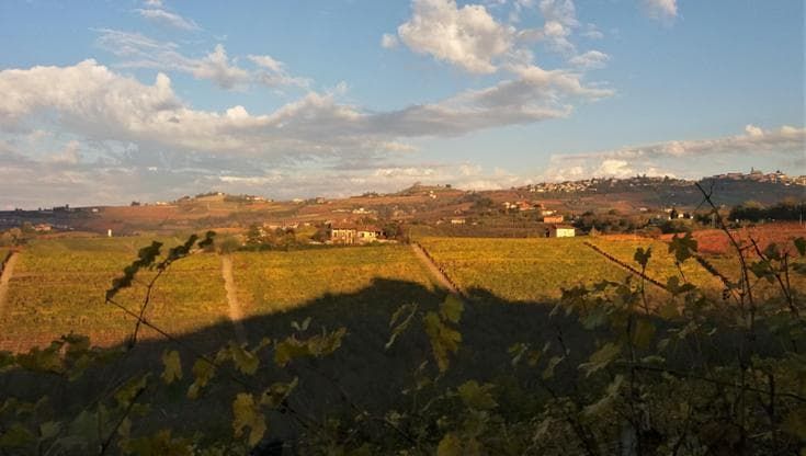 Arte, vino e bellezza nel cuore delle Langhe