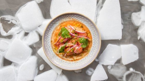 Tre cantine e 12 cuochi tra calici, cucina creativa e piatti della tradizione