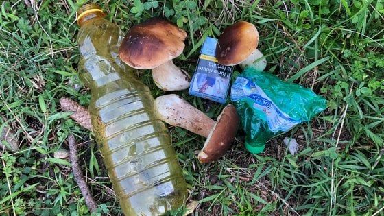 Varese, il "fungiatt" lancia la campagna social per l'ambiente: "Per ogni fungo raccogliete anche un rifiuto"