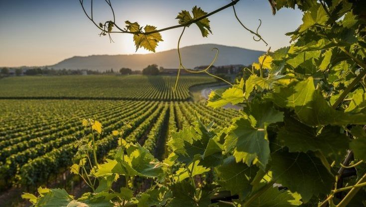 A Parma arriva il Festival Franciacorta 