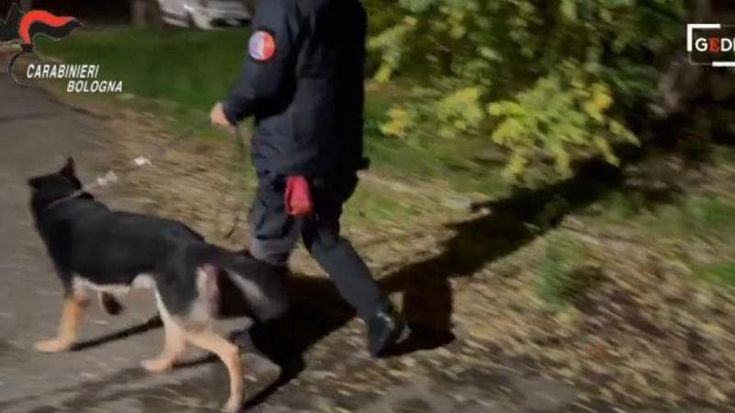 Si fingevano imbianchini, facevano affari con la droga: “Ho fatto 5.300 euro. Questa roba spacca”. Sgominata banda dello spaccio, 11 arresti