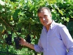 Farnese Vini, l’etichetta “federale” per piccole vigne che piace a Benetton