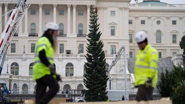 Usa, Natale amaro per i dazi. Maxi rincari per alberi e decorazioni