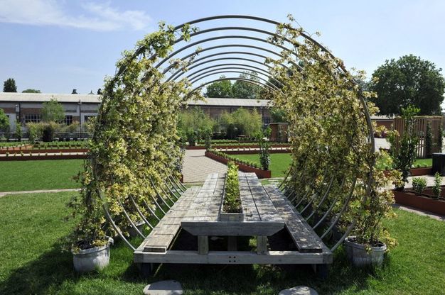 Prati, piante, fiori: tutto il verde della Fabbrica del Vapore