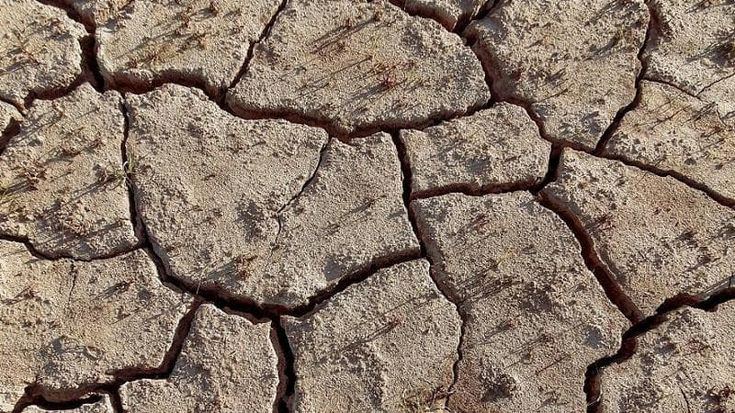 Cambiamenti climatici, i morti per il caldo in Europa triplicheranno entro il 2100: l’Italia tra i Paesi più colpiti