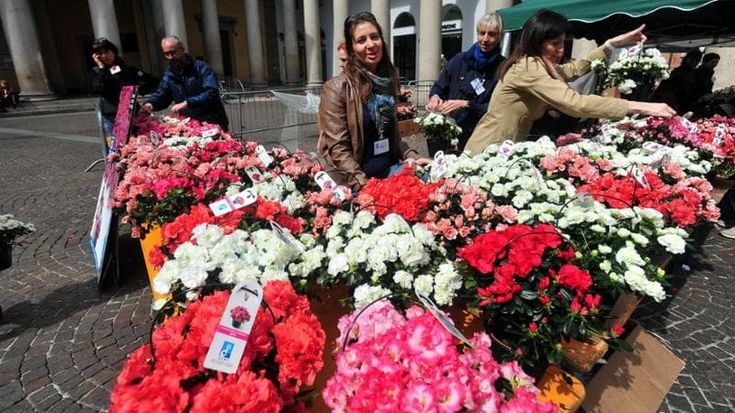 Airc, domenica Giornata delle Azalee. Così la ricerca prova a espugnare il tumore del pancreas