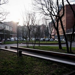 Milano, abusa di una diciottenne nel parco, giovane arrestato dalla polizia
