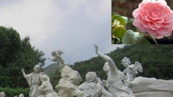 Reggia di Caserta: piante del Giardino in vendita per il restauro di una statua