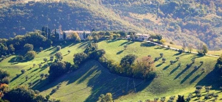 Fondi Ue per l'agricoltura: nelle Marche con una app ora sono a portata di click