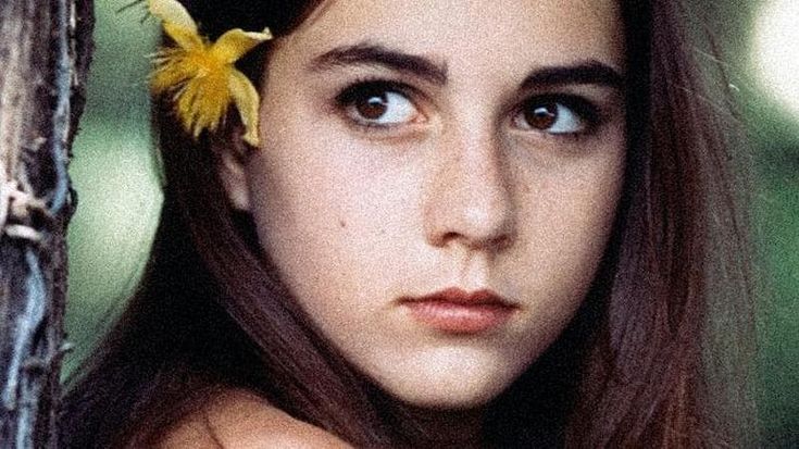 Canzoniere italiano. Dai pennuti ai telefoni ecco i brani bocciati