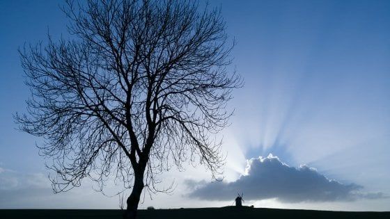 Il mondo attraverso i miei occhi