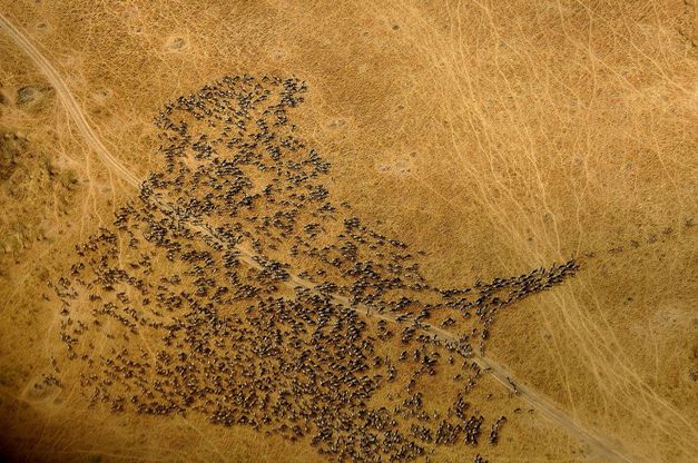Il mondo in cento viaggi: le esperienze da fare nella vita