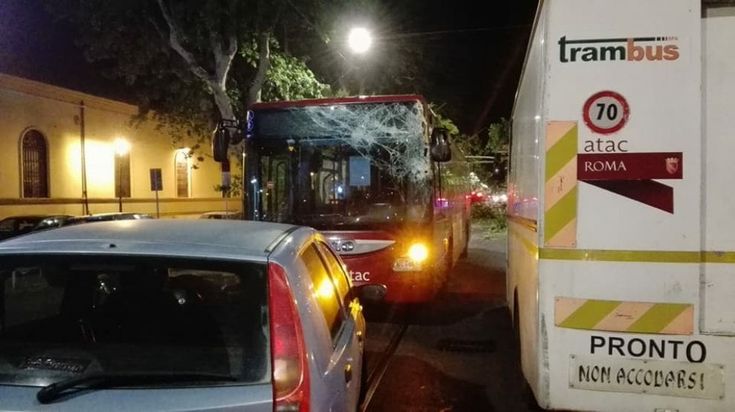 Roma, l'albero crollato in via delle Milizie: i danni al bus N1