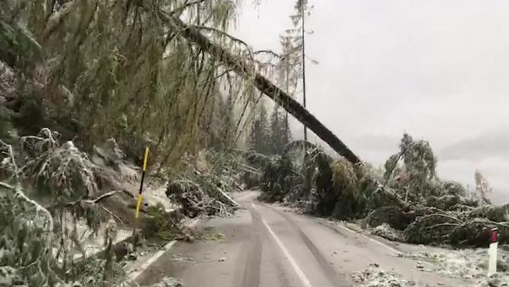 Sulle Dolomiti devastate: “Non abbiamo più niente ci resta solo la paura”