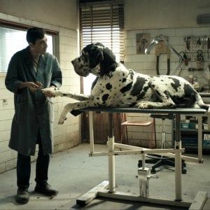 Cannes: gip Roma dice no al sequestro di 'Dogman' 
