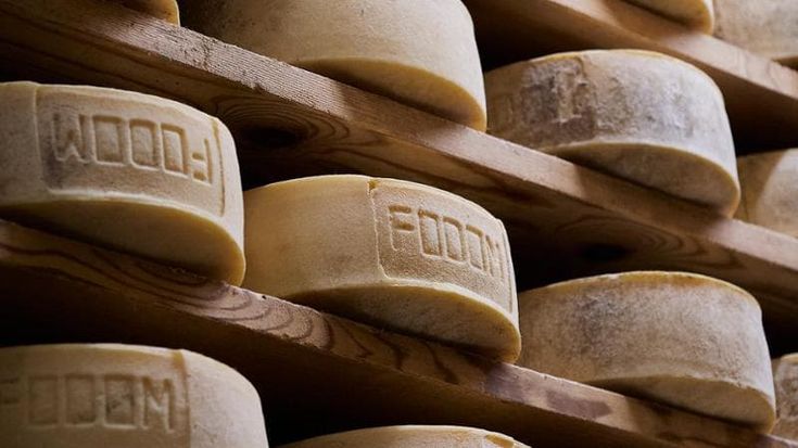 Belluno, il formaggio Fodóm diventa Presidio Slow Food