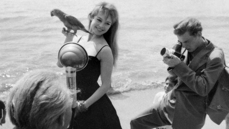 Le foto più celebri di Brigitte Bardot: dai nudi anni 50 alle battaglie animaliste
