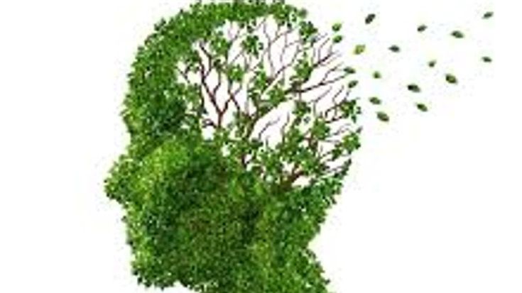 Alzheimer, gli antibiotici ne rallentano la progressione