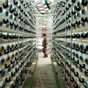 Fiducia in calo in Italia: giù gli indici di imprese e consumatori a giugno