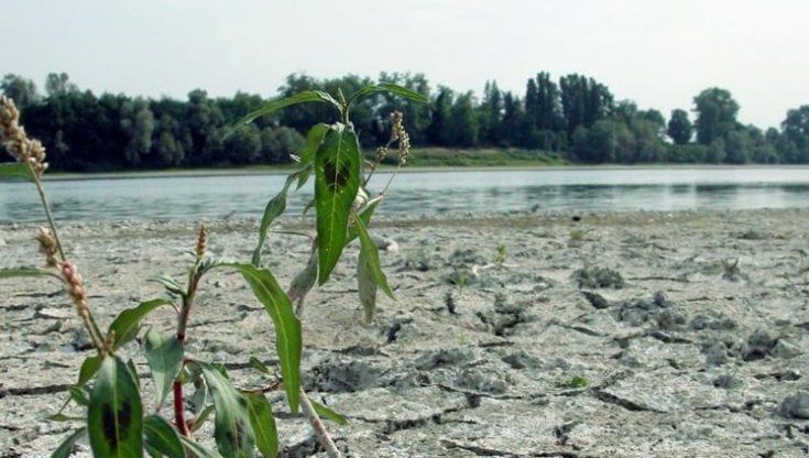 Arrivano i fondi per salvare il canale, 28 milioni dal governo al Regina Elena nel Novarese. Marnati: "Ne servono 168"