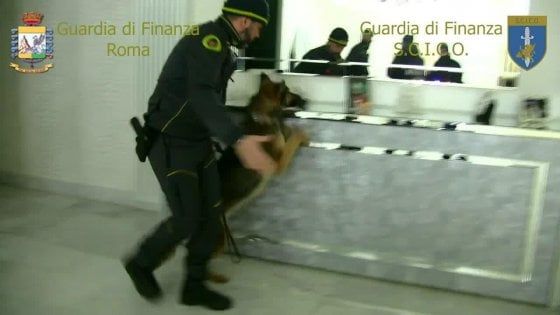 Droga a Roma, blitz della Gdf: tra 5 arrestati c'è anche un Casamonica . "Aveva contatti con Narcos"