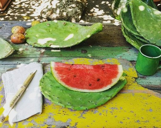 Ischia, palette di fico per piatti e canne di bambù per forchette: d’estate la tavola è green