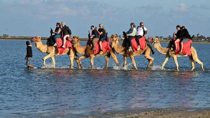Fra le dune di sabbia