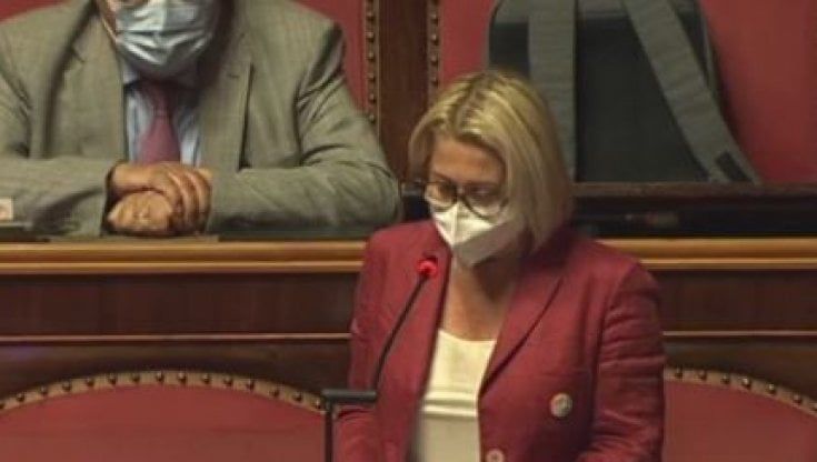 Difese la legge Zan: Barbara Masini lascia Forza Italia e passa con +Europa-Azione