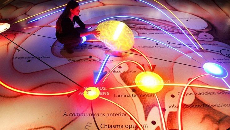 Paralizzato dopo l'ictus. Ma i segnali del suo cervello diventano parole su uno schermo