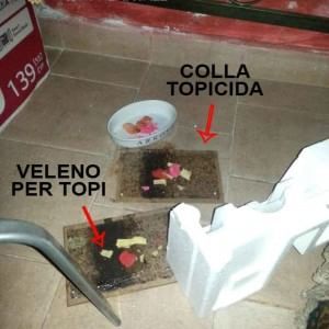 Parioli, blitz dei vigili in alcuni bar: trovate trappole per topi e prodotti ammuffiti