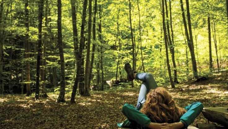 Il bosco del buon respiro. “Il profumo degli alberi qui regala benessere”