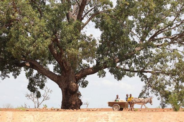 60 scatti per il Burkina Faso<br />cos&igrave; si nutre il cambiamento