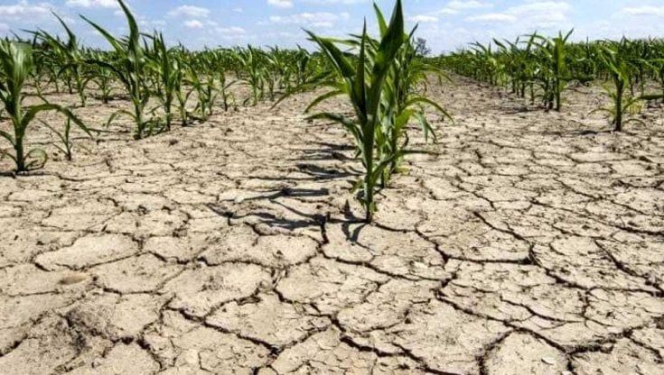 Riscaldamento globale, i quattro mesi record della Toscana