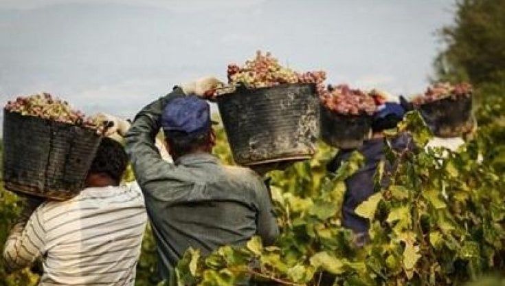 Decreto flussi, la Regione: occorrono almeno seimila lavoratori, tre volte quelli assegnati