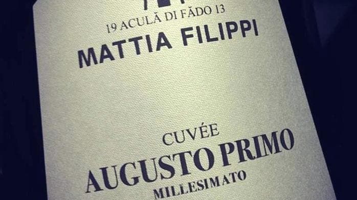 Mattia Filippi il vignaiolo errante