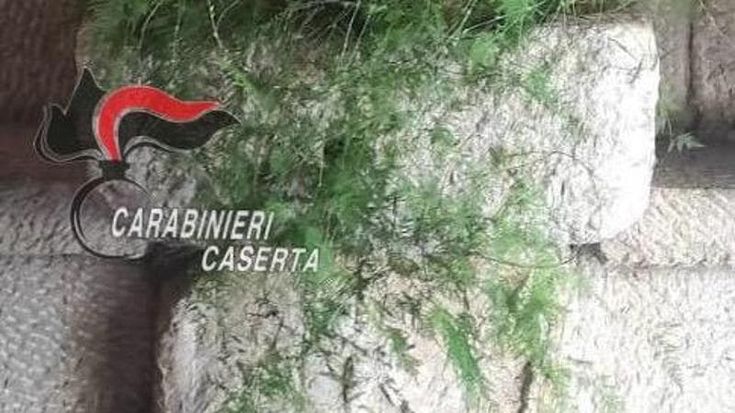 Frammento di sarcofago romano murato in un ristorante: scatta il sequestro a Pietravairano